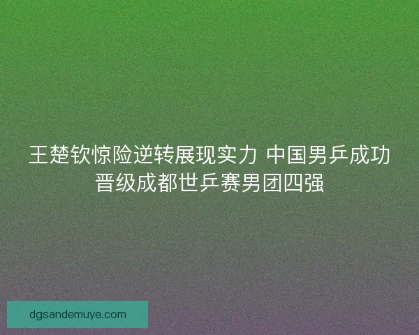 王楚钦惊险逆转展现实力 中国男乒成功晋级成都世乒赛男团四强