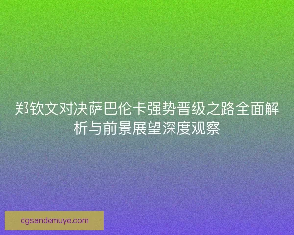 郑钦文对决萨巴伦卡强势晋级之路全面解析与前景展望深度观察