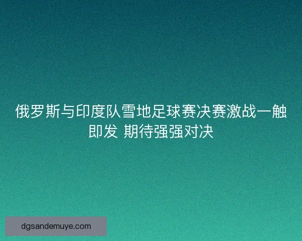 俄罗斯与印度队雪地足球赛决赛激战一触即发 期待强强对决