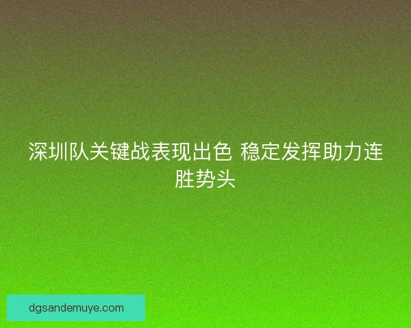 深圳队关键战表现出色 稳定发挥助力连胜势头